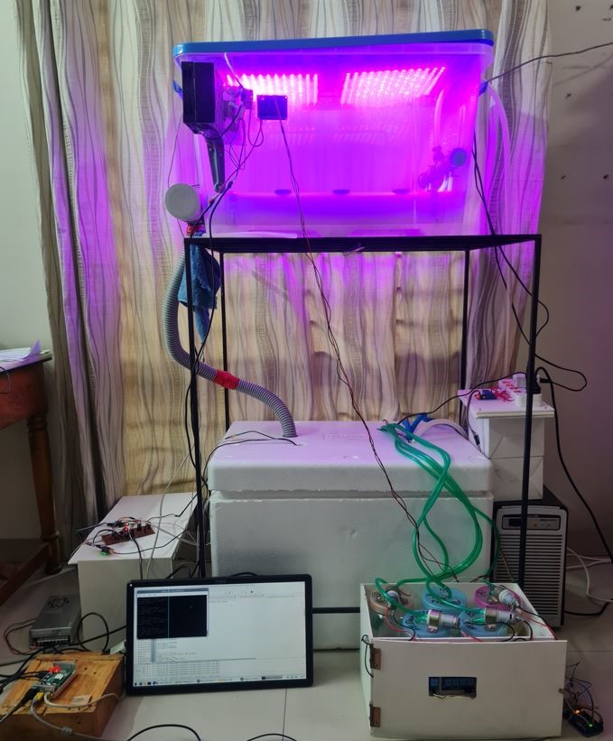 IoT Hydroponics System Setup